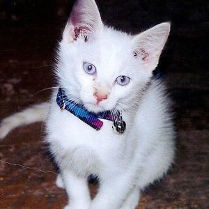 Meet your Posher, Stacy